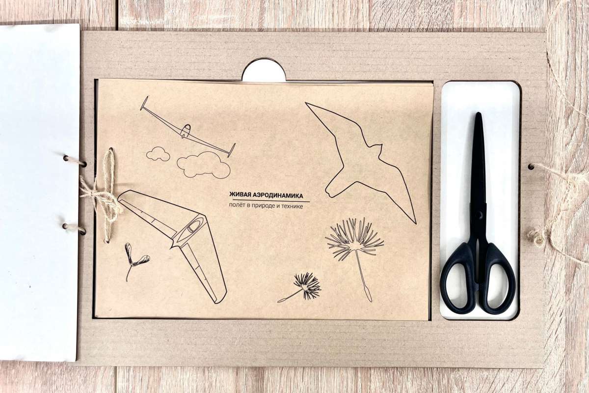 Изображение: Наука для школьников: инженер ВШТМиМФ превращает законы аэродинамики в увлекательную игру